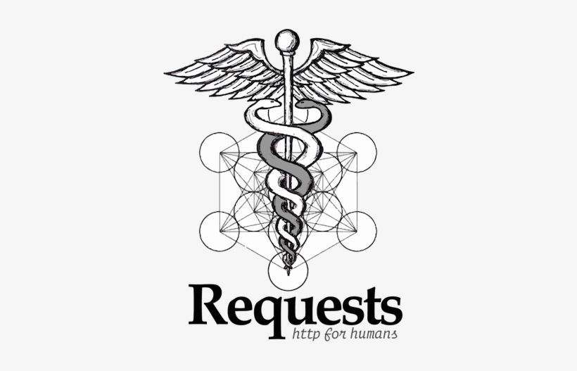 Requests: o 'HTTP para humanos' que tornou consumir APIs algo trivial